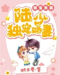 萌宝来袭:陆少独宠娇妻