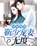 错嫁缠婚，靳少宠妻无度