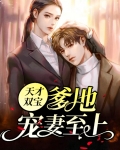 天才双宝：爹地，宠妻至上！
