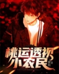 桃源透视小农民