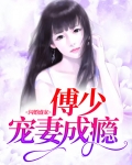 闪婚盛宠,傅少宠妻成瘾