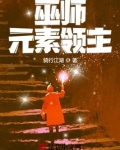 巫师：元素领主