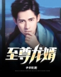 至尊龙婿