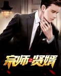 宗师之贤婿