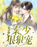 替嫁后秦少狠狠宠