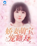 娇妻萌宝宠翻天