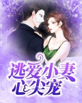 逃爱小妻心尖宠