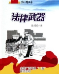 法律武器:全国广泛开展“一五”普法活动