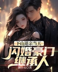 下山退亲当天,闪婚豪门继承人
