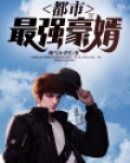 都市最强豪婿
