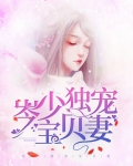 岑少独宠宝贝妻