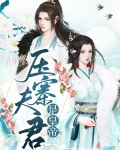 压寨夫君是皇帝