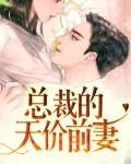 总裁的天价前妻