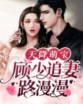天降萌宝,顾少追妻路漫漫