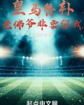 皇马替补,老佛爷非要留我