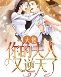 大佬,你的夫人又逆天了