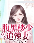 腹黑楼少追辣妻