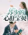 掌上婚宠:苏少的心肝宝贝