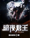 暗夜君王