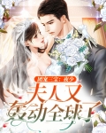 团宠三宝:夜少,夫人又轰动全球了