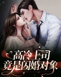 高冷上司竟是闪婚对象