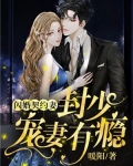 闪婚契约妻:封少宠妻有瘾