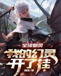 全球御灵:我的幻灵开了挂