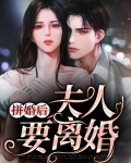 拼婚后夫人要离婚