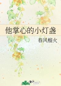他掌心的小灯盏女主出轨了吗