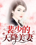 裴少的天降美妻