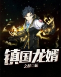 镇国龙婿