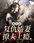 重生后复仇娇妻撩夫上瘾