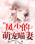 凤少的萌宠喵妻
