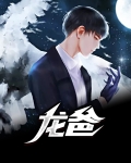 龙爸