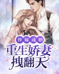 替嫁成婚：重生娇妻拽翻天
