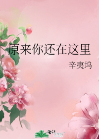 原来你还在这里