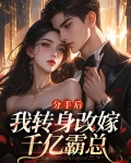 分手后,我转身改嫁千亿霸总