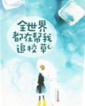 全世界都在帮我追校草