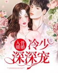 入骨暖婚:冷少深深宠