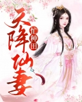 天降仙妻忙种田