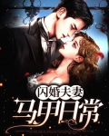 闪婚夫妻马甲日常