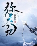 弥天记