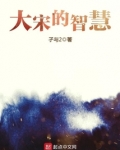 大宋的智慧