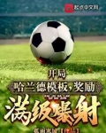 开局哈兰德模板,奖励满级爆射!