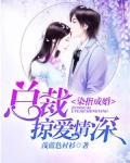 染指成婚:总裁掠爱情深