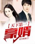 天下第一豪婿