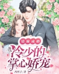 错嫁成婚:冷少的掌心娇宠