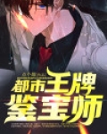 都市王牌鉴宝师