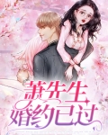 萧先生婚约已过