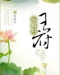 王府小媳妇